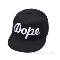 5 لوحات ثلاثية الأبعاد التطريز قبعات Snapback